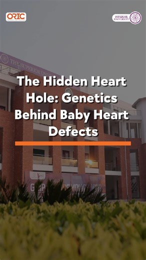 Oric Superior on Instagram: "Innovation @ Superior! Meet Sara Aslam from the Department of Biomedical Engineering Technology, The Superior University, Lahore, who is uncovering the genetic links behind congenital heart defects. Every year, thousands of babies are born with Ventricular Septal Defect (VSD)—one of the most common congenital heart conditions and a major challenge for newborn health. What role do genes play in this silent condition, especially among Pakistani children? Watch the comp