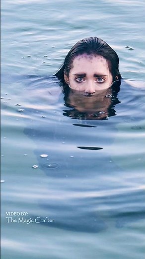 Selkie and the zebra mussels