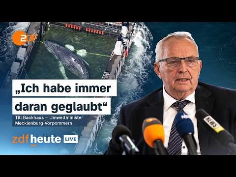 Last words for Timmy: Backhaus' closing statement on the humpback whale | ZDFheute live