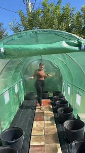 VEVOR Walk-in Tunnel Greenhouse, 27.4x9.5x7.4 ft Hoop House Greenhouse Tunnel, Plant Hot House with Galvanized Steel Frame, Green PE Cover, Swing Door and 16 Roll-up Windows for Outdoor | VEVOR Home Improvement