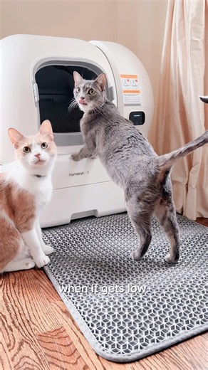 Self Cleaning litter box save me so much time ✨ #catlife #cat #catshorts #litterbox