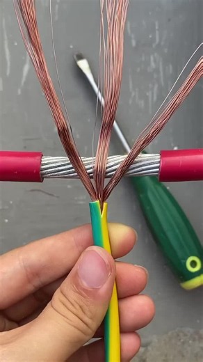 Electrical Wiring 101: Beginner DIY Electrical Tips