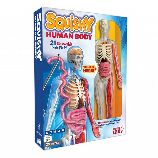 Squishy Human Body - SmartLab Toys