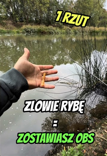 Jeśli złowie rybę to ty zostawiasz obserwację 🤝 GF2 leech @Great Fish #fishing #perch #lurefishing #wedkarstwo #fishinglife