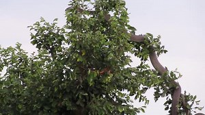 18K views · 120 reactions | Wildlife Attack on Reels | Facebook