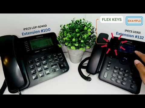 Making Internal and External Calls