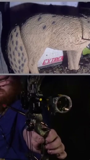 Hoyt vs Bowtech