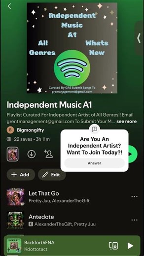 Independent Music A1 Spotify Playlists | All Genres Accepted