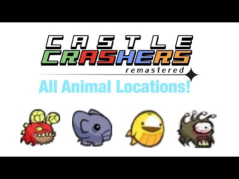 Castle Crashers Remastered: How To Get All Animal Orbs! (UPDATED 2026)