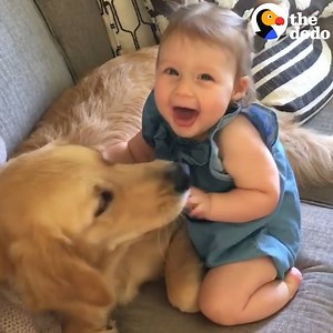 Dogs and kids growing up together — this is what the world needs right now ❤️ | The Dodo