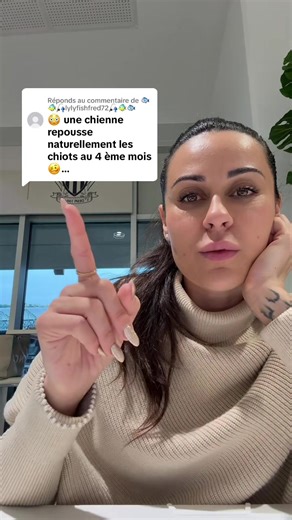 Réponse à @🐟🐠🎣lylyfishfred72🎣🐠🐟 désolé mais je ne suis pas d’accord avec ça ?! Et vous? Bien évidement les amis pas de haine, pas d’acharnement on est là pour discuter et essayer de faire évoluer les choses 🙏🏻 #chiens #dog #reproduction #stop #abandon