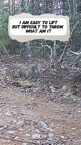 9.6K views · 21 comments | Most folks can’t solve this “flighty” riddle #nature #outdoors #riddles | Anything Outdoors | Facebook