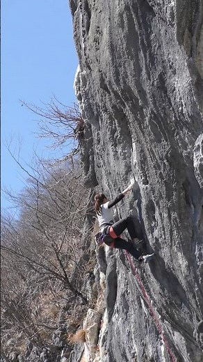二子山 振り返るな フォール フレームアウト#shorts #climbing #クライミング
