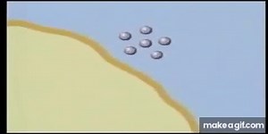 ENDOCYTOSIS AND EXOCYTOSIS on Make a GIF