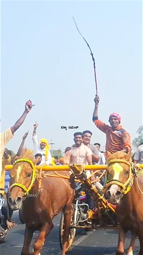 Ghoda sharyat | Part-2 ವಡೇರಹಟ್ಟಿ ಜನರಲ ನವತರ 5,000 ಮೈದಾನ✔ |⚜ वडेरहट्टी जनरल नवतर घोडागाडी शर्यत⚜ |Waderhatti | Instagram