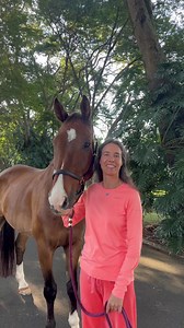 Monday with Luciana and Lennox for the well being of the horses - What would be your dream stables? Share your ideias about it 😄 #lucianadiniz #mondaywithluciana | Luciana Diniz