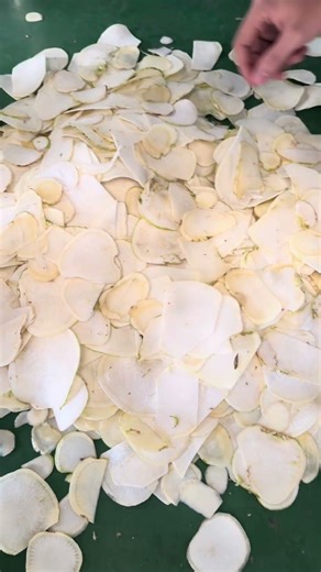 Centrifugal Vegetable Slicer 1000kg/h #foodprocessing #cuttingskills