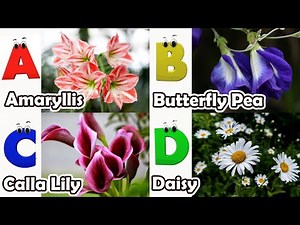 Flowers ABC Song for Kids | Phonics for Kids | Alphabet Letters | Nursery Rhymes