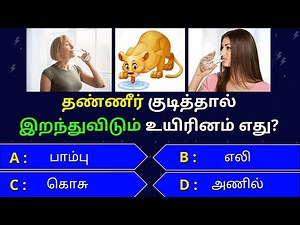 Interesting கேள்விகள் in tamil | gk tamil | general questions in tamil | gk quiz | Amazing facts 471