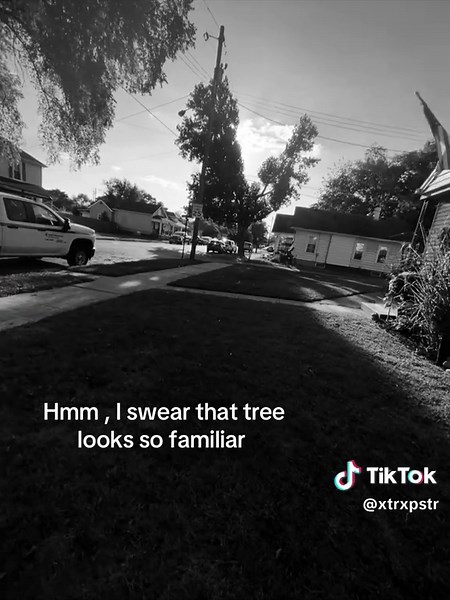 Coraline Scene Analysis: A Familiar Tree Commentary