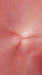 1M views · 4.8K reactions |  Dive Deep Into Heart Anatomy: The...