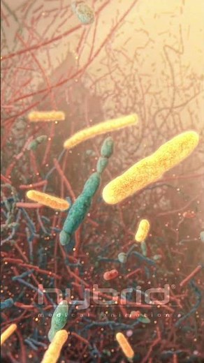 Part 2: Outer mucus layer | gut microbiome | microbiome animation | #microbiome #outermucuslayer