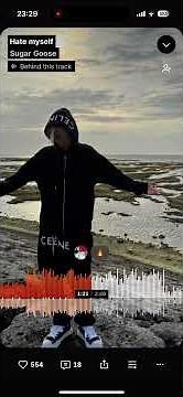 Sugar Goose-Hate myself