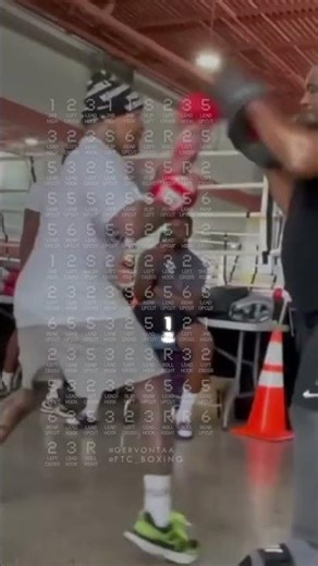 TRY THIS 86-PUNCH COMBO BY GERVONTA "TANK" DAVIS 🥊