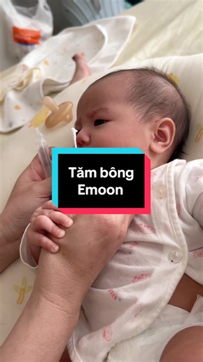 Sâu To Quá Trời: Khám Phá Kamui TV