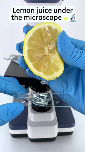 Exploring Lemon Juice Under a Microscope