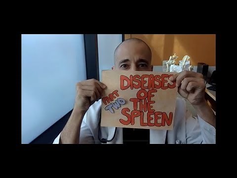 Surgical Spleen Pt. 2: The scary splenectomy! What you need to know.