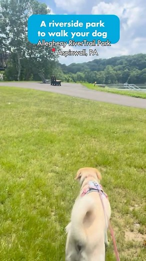 Have you been to Allegheny RiverTrail Park in Aspinwall? 🌳 @alleghenyrivertrailpark converted a scrapyard into six acres of green space and 1.5 miles of new trail connecting Aspinwall to Sharpsburg. To celebrate the new land, the park is hosting a two-day celebration, beginning with the River Rocks Benefit on Friday, June 7 (get your tickets in advance if you're interested). Then on Saturday, June 8, the free grand opening will include food trucks, local vendors and music. Find even more things