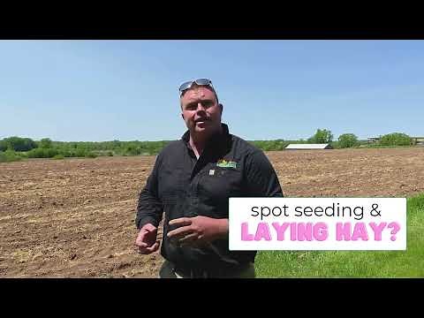 Straw vs Hay for Grass Seed