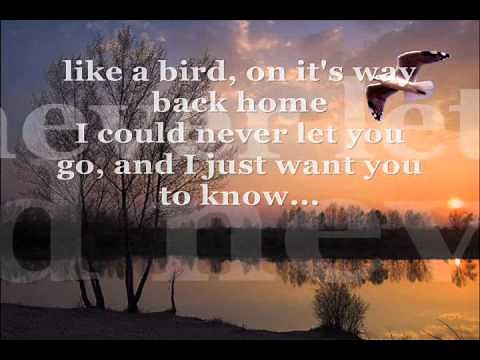 I Can Wait Forever- Air Supply with lyrics