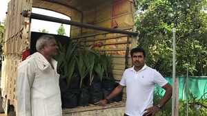 6.1K views · 86 reactions | #ಕೊರಟಗೆರೆ ರೈತರು ತೋಟಕ್ಕೆ ಭೇಟಿ ನೀಡಿ ತಿಪಟೂರು ಟಾಲ್ ತೆಂಗಿನ ಸಸಿ ಖರೀದಿಸಿ ಅವರ ಅನಿಸಿಕೆ ಹಂಚಿಕೊಂಡರು  7676994369 | ಡಿ.ಲಿಂಗಪ್ಪ ತೆಂಗಿನ ತೋಟಮತ್ತುನರ್ಸರಿ ತುಮಕೂರು | Facebook