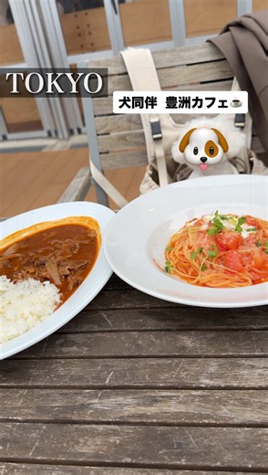 東京 豊洲 🍽️店名 RHC CAFE 豊洲店 / アールエイチシーカフェ 💰1人あたり ￥1,500〜3,000 ⏰営業時間 10:00〜21:00 フードL.O. 20:00 🚃交通 東京メトロ有楽町線 豊洲駅 2b出口直結 ゆりかもめ 豊洲駅から徒歩約5分 アーバンドック ららぽーと豊洲1 SOUTH PORT 1階 🗺️住所 東京都江東区豊洲2-4-9 アーバンドック ららぽーと豊洲1 SOUTH PORT 1F 🌟おすすめメニュー ・スタンダードバーガー ￥1,800 ・グリルチキンサラダ ￥1,850 ・グルテンフリーパンケーキ ￥1,400〜 ・スパイスチキンカレー ￥1,900 ・チキンオーバーライス ￥1,800 ・アールグレイティーソーダ ￥950 💳支払い方法 現金・クレジットカード・電子マネー・QRコード決済対応 開放感のあるカリフォルニア風の店内で、ボリュームのある料理からパンケーキ、カラフルなドリンクまで楽しめるカフェ。店内は全席禁煙で、テイクアウトやキッズメニューにも対応しています。 #豊洲グルメ #豊洲カフェ #RHCCAFE #TokyoC
