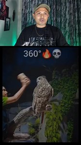 Owls can turn their heads 270°, but their vision is nearly 360° | Megharaj Sharma