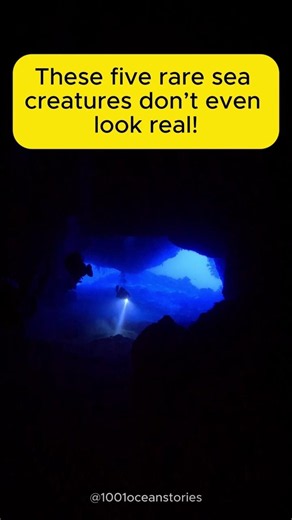 5 Rarest Sea Creatures Ever Found 🌊👁 #RareSeaCreatures #DeepSea #OceanMystery