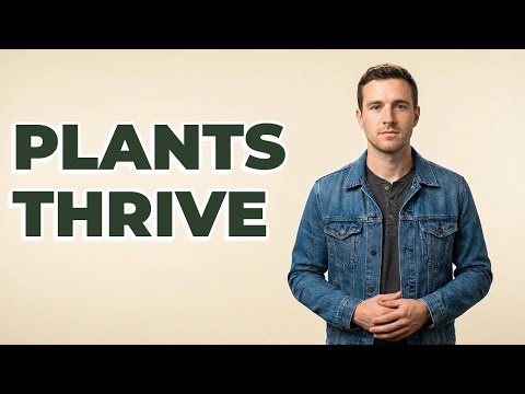 How Does Compost Make Garden Plants Healthier?
