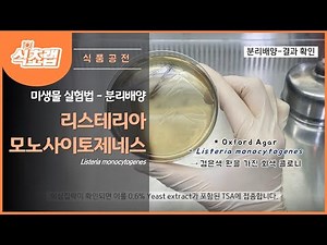 MBcell 식품공전 리스테리아모노사이토제네스 시료 분리배양 실험하기! ( Listeria monocytogenes )