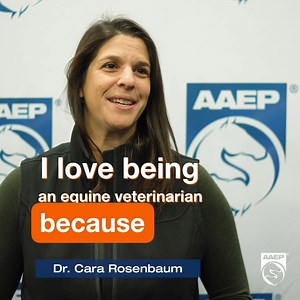 2.3K views · 78 reactions | There’s never been a better time to...