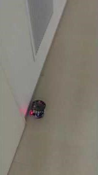 Test of a ROS package for Raspberry Pi Mouse for NikkeiLinux Sep. 2016 at a corridor