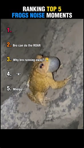 Ranking Top 5 Frogs Noise Moments 🐸🤣