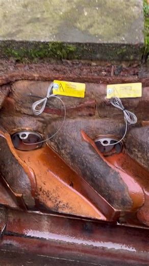 A new day and a new rat gate installed to this customers property. ❌🐀 #ratgate #rat #rats #pest #pestcontrol #pestcontrolservice #pestmanagement #pestmanagementservices #drain #drainage #drainagesolutions #drain #drainagesystem #drainagemaintenance #drainagematters | Pearl's Pest Control