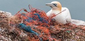 SW to Pioneer Marine Plastic Waste Reduction | Marine Science