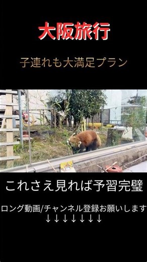【大阪観光】旅行に行く人必見！絶対に食べるべきグルメから観光スポットまで全部紹介！初めての大阪旅行で迷ったら丸パクリOK｜梅田｜なんば｜新世界｜アメリカ村｜大阪城⑤