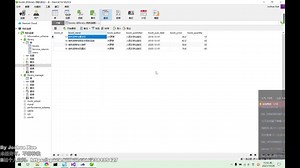 20211026-C  课程设计 - 图书查询、删除和借阅