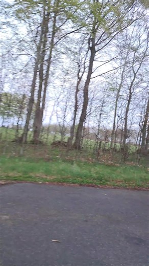 Mechaniker-Freundin-Witz: Finger-Test enthüllt!