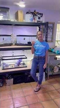 Hygger Backpack Filter Unbox and Setup. Our first fresh water video my wife FIRST video! #aquarium