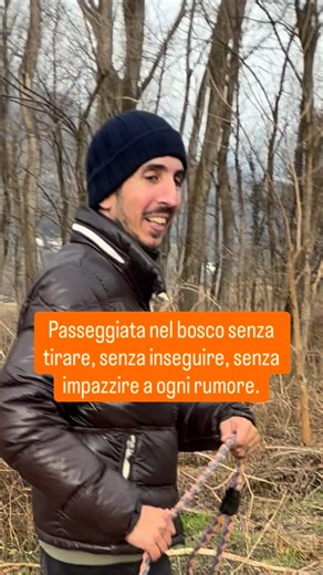 Matteo Carboni - educatore cinofilo | Passeggiata nel bosco: il vero test per capire se hai un cane educato o solo controllato in città. Nel bosco c’è tutto quello che manda in... | Instagram
